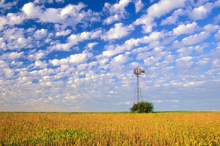 Indiana Hues - hues, nature