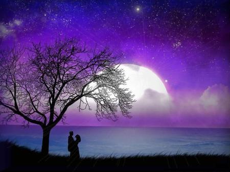 In love - moon, sky, sun, sunset, black, purple, dark, clouds, tree, sea