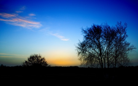 THE END OF THE DAY - trees, sunset, end, day