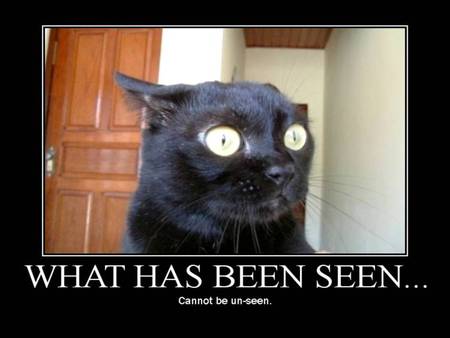 What Has Been Seen Cant Be Unseen - truth, black cat, seen, unseen, cat, humor, funny, saying