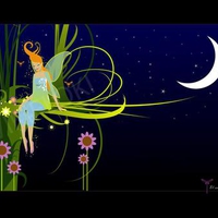 MOON NIGHT FAIRY