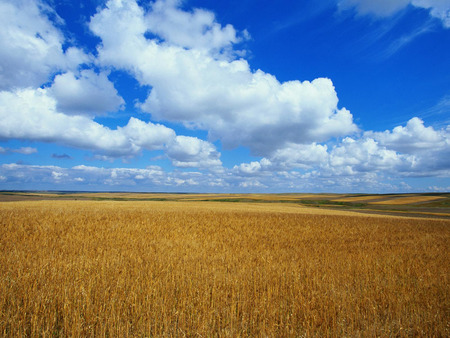 Sky - nature, blue, sky, fields