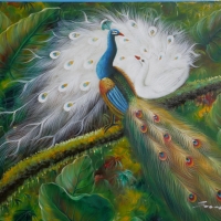 Peacocks