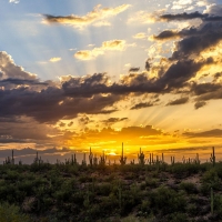 Desert sunset in Southern Arizona