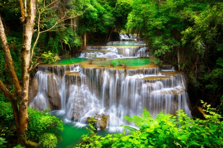 Beautiful forest cascades - beautiful, cascades, exotic, forest, greenery, river, trees, waterfall