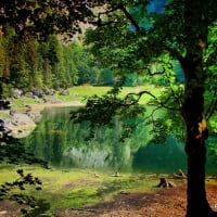 scheibel-lake  austria