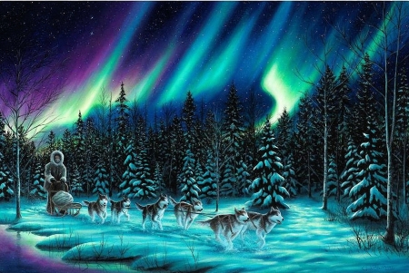 northern lights - dogs, huskys, lights, nature