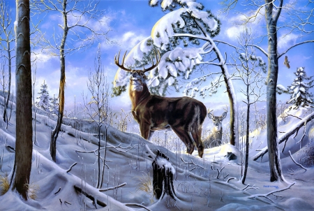 deer in the snow - winter, snow, animals, deer