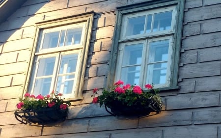 Windows in Kuldiga, Latvia