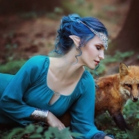 elves and fox