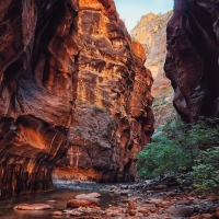 The Narrows, Zion National Park