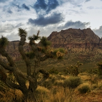 Red Rock Canyon, Las Vegas, Nevada