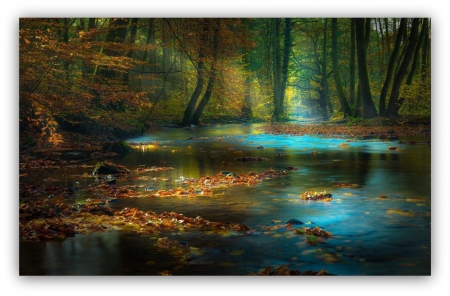 blue dream - blue, natur, forests, fantasy