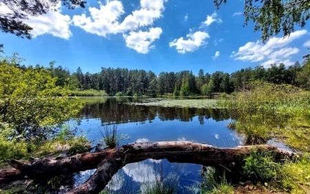 Lake in Latvia - Latvia, clouds, lake, reflection