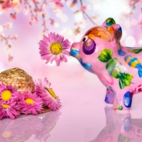 Year of the boar
