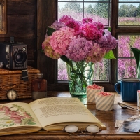 Hydrangea Still Life