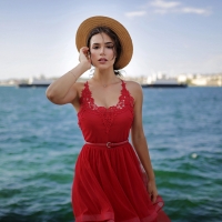 Gorgeous Brunette in a Red Dress