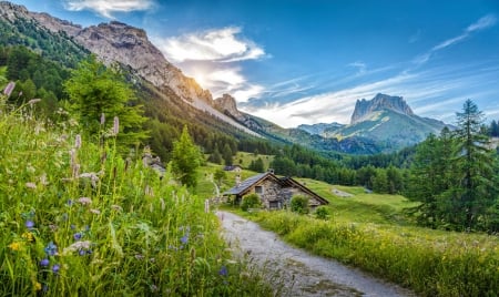 Mountain houses - beautiful, grass, meadow, mountain, wildflowers, path, village, countryside, cottages, peaceful, houses, sky