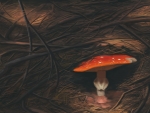 Mushroom