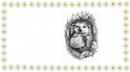Hedgehog - white, art, hedgehog, cute, leaf, toamna, illustration, animal, arici, sleep