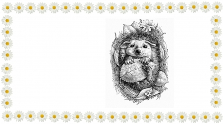 Hedgehog - hedgehog, illustration, animal, white, sleep, toamna, arici, cute, leaf, art