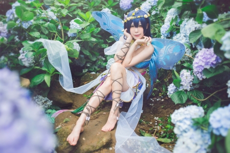 Cosplay ~ Fairy