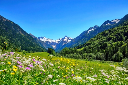 Mountain meadow - beautiful, grass, meadow, mountain, sky, summer, wildflowers