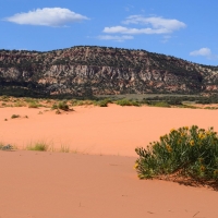 Colorful Deserts of Southern Utah