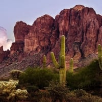 Saguaro Cactus and the Superstition Mountains, Arizona