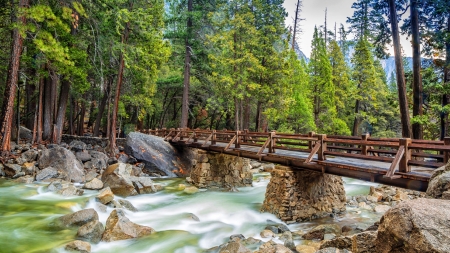 Foot Bridge over a River - river, bridge, rocks, forest