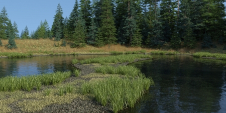 Little lake in the forest - render, forest, wood, lake, nature