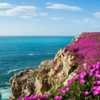 Cantabria, Bay of Biscay, Spain