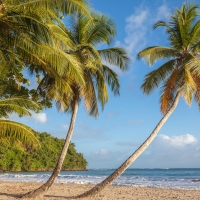 Saint David Beach, Grenada