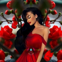 Red Roses