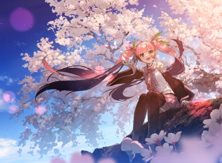 Sakura Miku