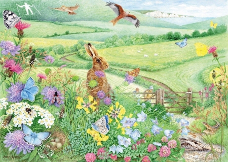 Summer - bird, rabbit, summer, bunny, flower, pictura, anne searle, painting, butterfly, art