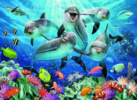 Dolphins