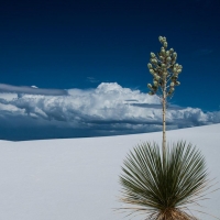 White Sands New Mexico