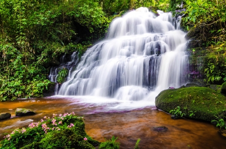 Waterfall in forest - beautiful, cascades, forest, greenery, waterfall, wildflowers