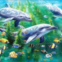 Dolphins