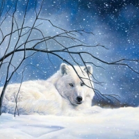 The white wolf