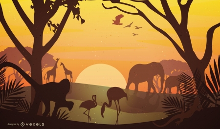 Safari sunset