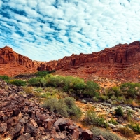 Hot summer afternoon in Snow Canyon, Utah