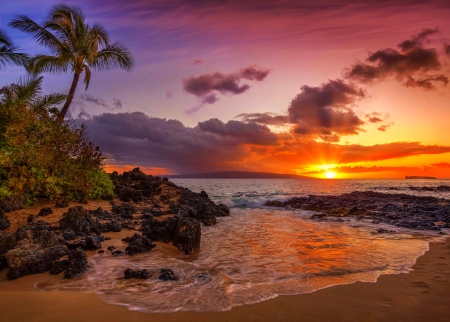 Tropical sunset - beautiful, coast, exotic, ocean, palms, sea, sky, summer, sunset, tropics