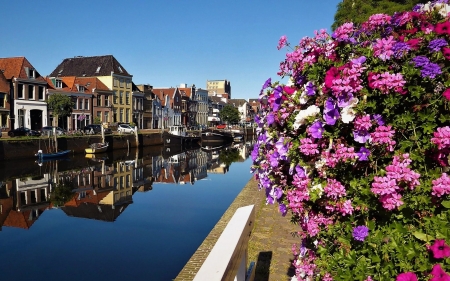 Zwolle, Netherlands - houses, Netherlands, town, canal, boats, flowers