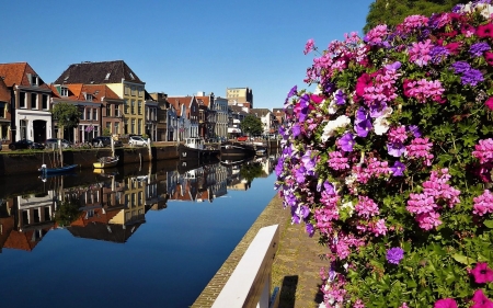 Zwolle, Netherlands - flowers, boats, town, canal, Netherlands, houses