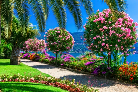Beautiful garden - alley, beautiful, coast, garden, italy, lake, palms, picturesque, summer, walk