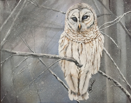 winter owl - branches, winter, owl, snow