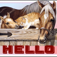 HELLO
