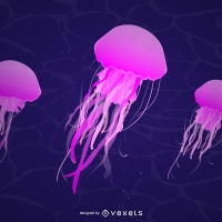 Jellyfish